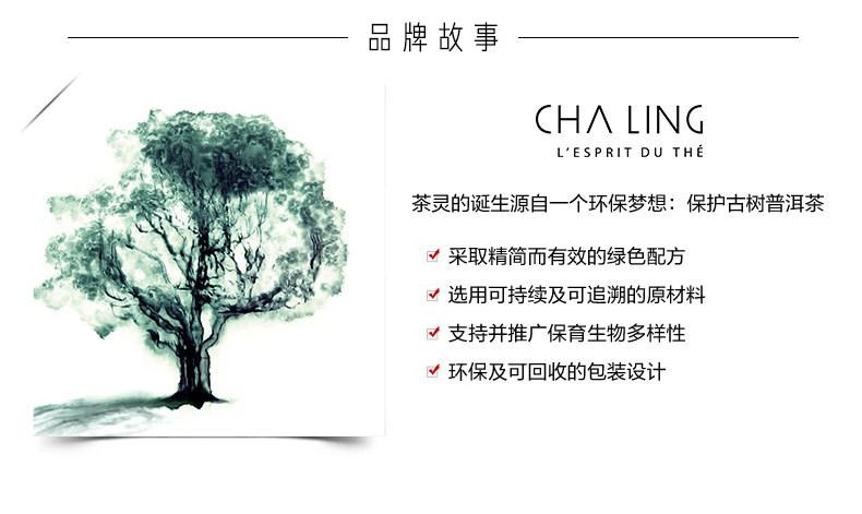 OP987003-TEA Spirit Fragrance-PC_08.jpg