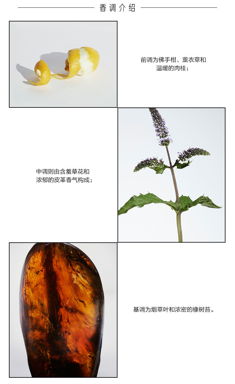 OP983911-PC-Bobberry Gentleman 靛 Blue Man Light Fragrance_04.jpg