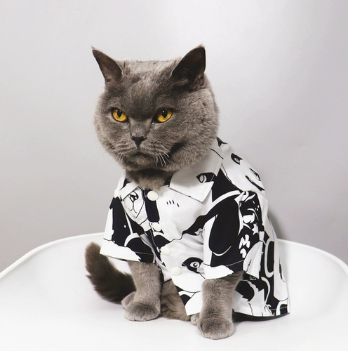 Мод! Pet Cat Bichon Bear маленькая одежда для щенка кошка лето-тонкая стиль анти-фуриозная рубашка панды