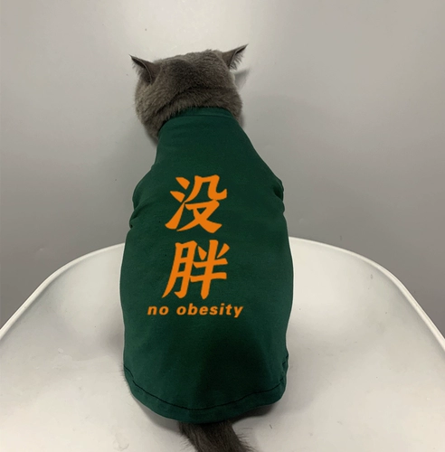 Pet Cat Bichin маленькая щенка одежда для кошачья одежда толстовка весна и лето с короткими рукавами.