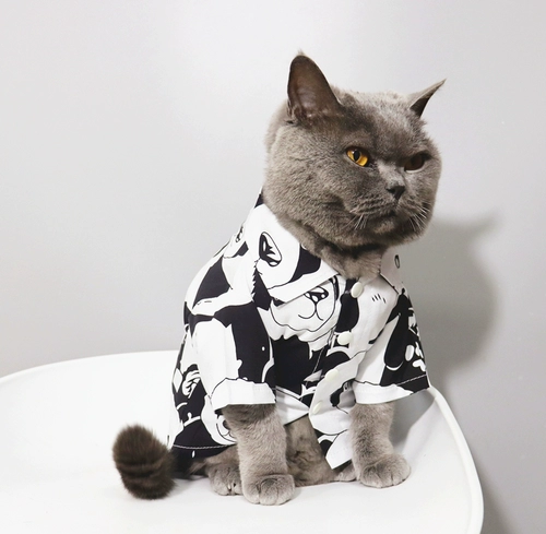 Мод! Pet Cat Bichon Bear маленькая одежда для щенка кошка лето-тонкая стиль анти-фуриозная рубашка панды