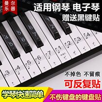 Electronic organ sticker button button 36 piano sticker 88 key transparent 61 54 electronic organ Press keyboard sound sticker