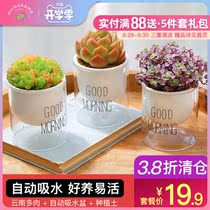  MuMuHome Succulents Hydroponic flowers potted plants Indoor flowers plants desktop plants Bonsai with pots