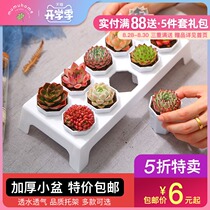  Succulent flower pot Creative meat simple meat plant flower pot Nursery plastic pot Succulent pot bracket package