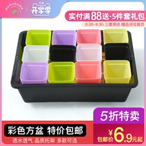  Succulents flower pot Creative potted green plant meat plastic pot Color multi-color desktop succulents flower pot bracket