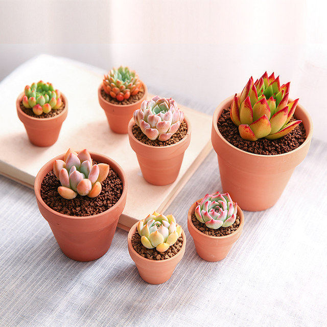 Yunnan straight hair terracotta flower pot succulent round flower pot ceramic terracotta pot succulent seedling potted plant breathable clay pot