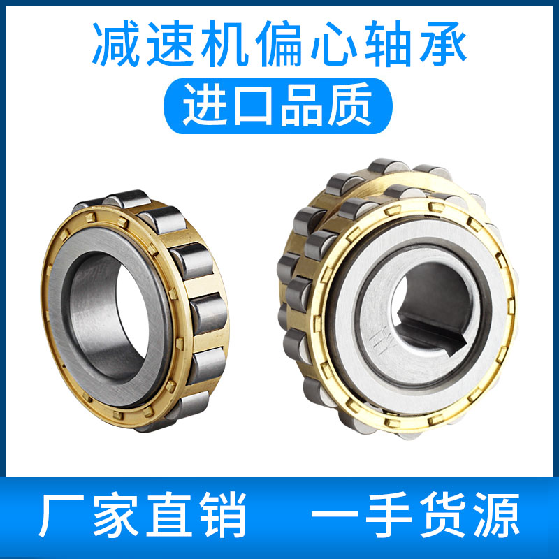 Cycloid needle wheel reducer eccentric bearing RN309 Swing 205 206 307 312 219 integral double eccentric