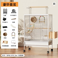 Новая роскошная птица Вилла-Уайт 【Роскошный стиль】