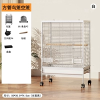 Новая роскошная птица-вилла-белая 【Basic】