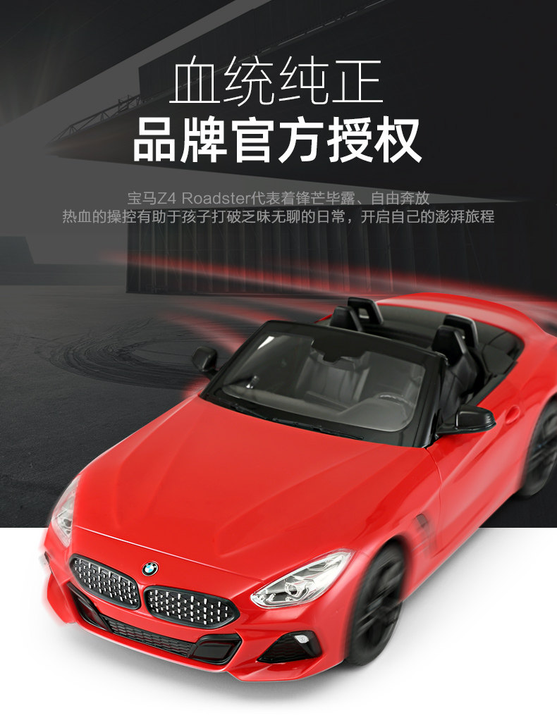 BMW Z4 Convertible Door 1: 14- [95600] _04.jpg