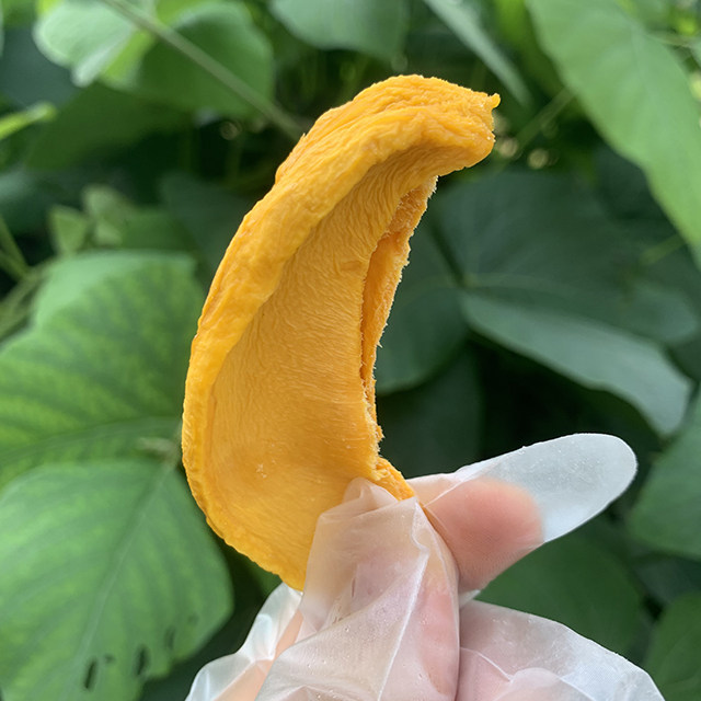 芒小呆