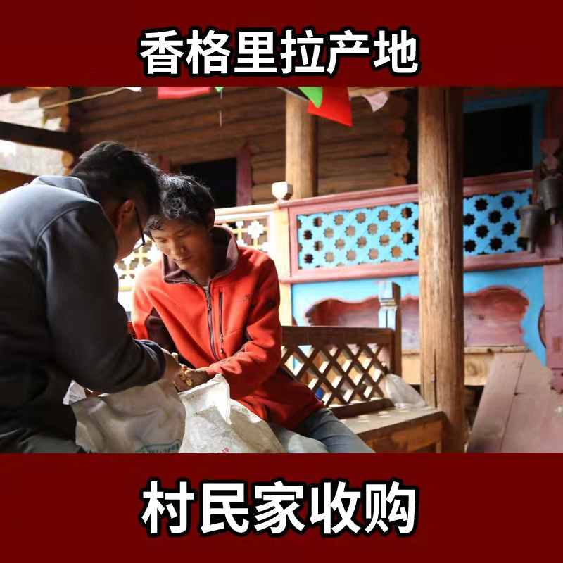 Cattle liver bacteria dry goods Shangri-La Plateau Yunnan wild bacteria specialite mushrooms 100 gr-2A Class goods