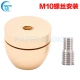 Установка винта M10 Золото