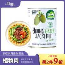 Botanical Meat Gluten Free Thai Imported Green Jackfruit Natures Charm Pure Plain Melin Baking Material