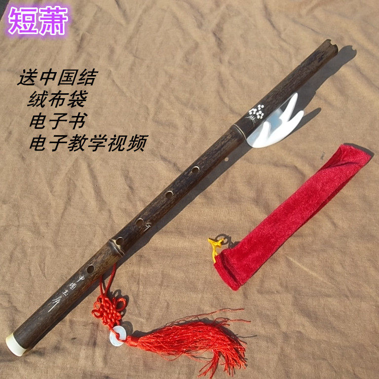 Purple Bamboo Short-Xiao Adult Students Beginners Zero Foundation Starter instruments G F.B.I. A section of carved hole Xiao