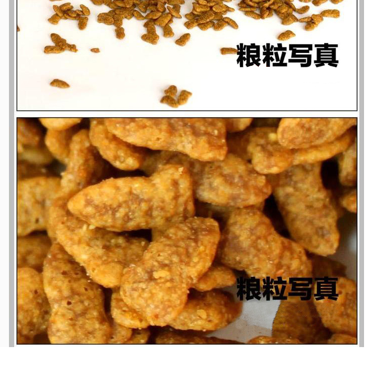 Thức ăn cho mèo mèo Gao Gao Aoli 500g 5 kg Anh ngắn làm đẹp mèo ngắn thành thức ăn cho mèo nên cho mèo ăn cơm hay ăn hạt
