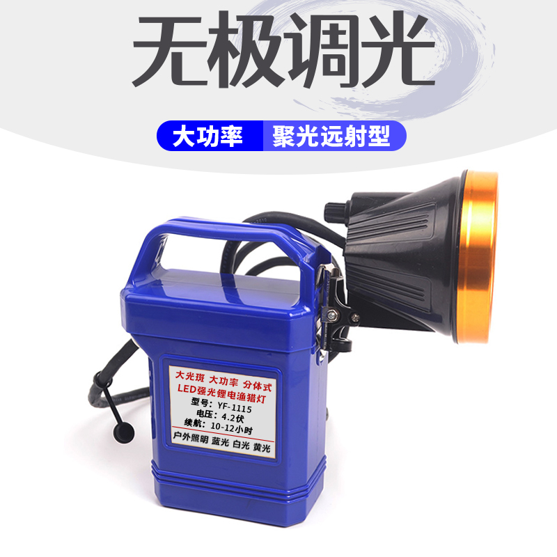 Fisherman's Treasure lithium battery Mine lamp Bright Light Spot Blue Light White Light Two-piece Night Fishing Light Can Charge 30W Fish Lights