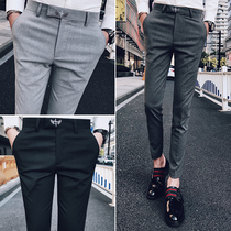 Nine-point trousers slim trousers Korean version of non-iron casual suit pants mens trend elastic small feet suit pants