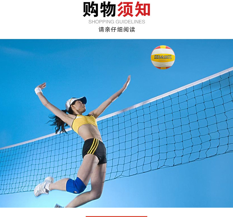 Ballon de volley-ball - Ref 2012622 Image 16