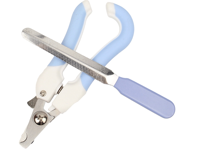 Rabbit Rabbit Guinea Pig Dutch Pig Pet Cat With Nail Clippers Cat Fingernail Clippers Nail Clippers