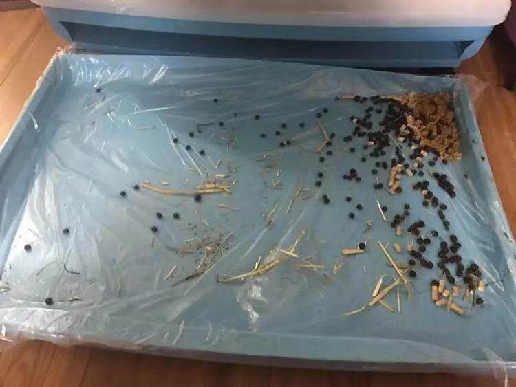 Universal lazy rabbit cage disposable toilet chassis film instead of diapers to clean guinea pig chinchilla rabbit cleaning