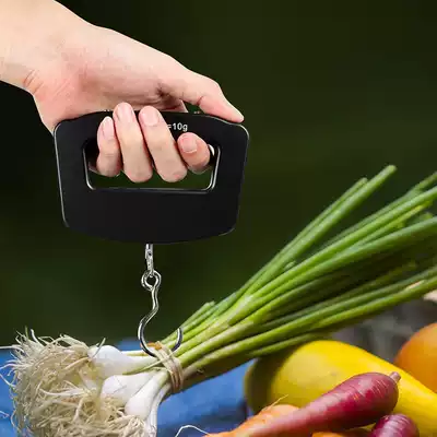 Portable portable scale electronic scale 50kg food spring scale kg fishing claim luggage scale package Kitchen Express