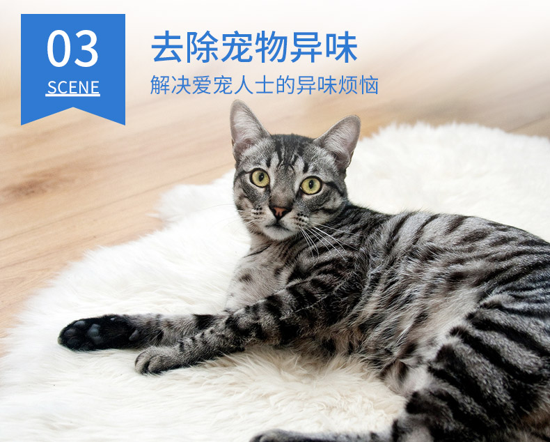 澳洲原装 Pure Air 车家两用 光触媒甲醛清除剂 350g 图9