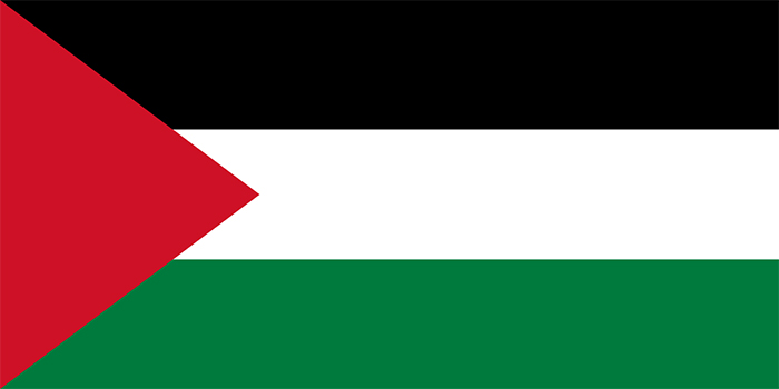 Customized No. 3 128*192CM State of Palestine flag waterproof sunscreen can be customized flags of various countries