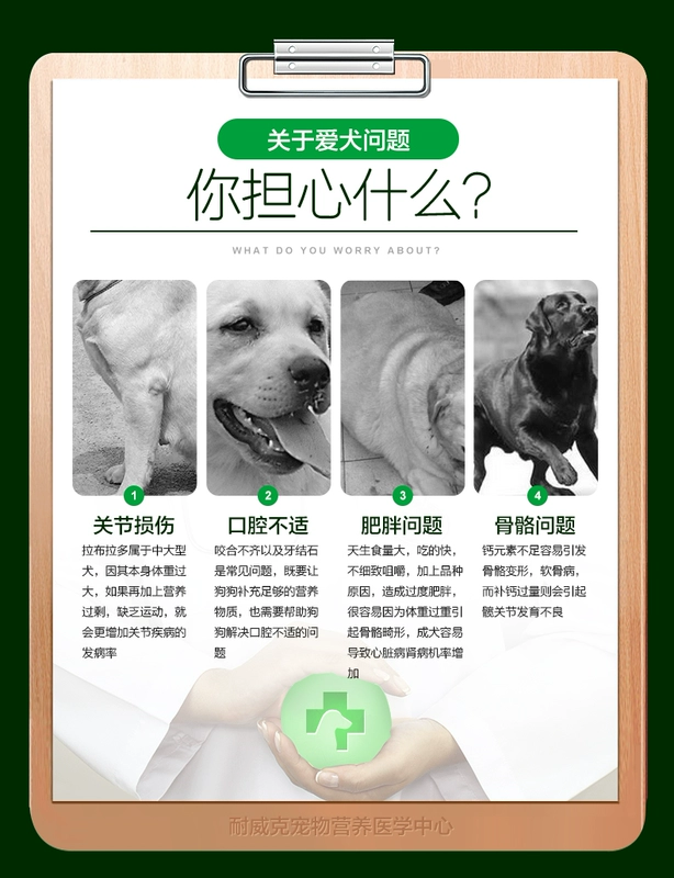 Thức ăn cho chó  chó con Labrador đặc biệt 10kg20 kg thú cưng cung cấp thức ăn chủ yếu cho gà công thức dinh dưỡng