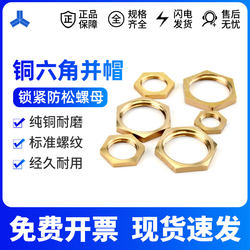 .All-copper nut inner wire joint 1 ຈຸດ 2 ຈຸດ 3 ຈຸດ 4 ຈຸດ nut parallel ວົງ copper nut cap hexagonal parallel cap accessories