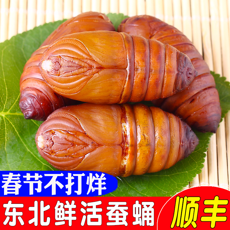 【中古】 柞蚕農民 山繭と私の満州国/近代文芸社/大西幾八 中古】 柞蚕農民 山繭と私の満州国/近代文芸社/大西幾八の通販