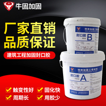 Niu Solid epoxy resin sealing rubber building structure reinforcement crack repair adhesive steel injection sealing glue