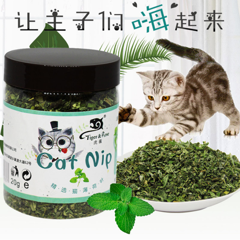 Cat Snacks Kitty Cat Mint Leaves Natural Air Dry Supplement Vitamin Steak Hair Balls Clean Oral Pets