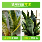 Devado Tiger Pilan Special Dlowdown Fat Clortrizer Perting Protted Living Room Universal Phnom Penh СВОВНАЯ ЗАВЕРЕНИЯ