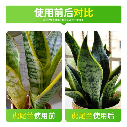 Devado Tiger Pilan Special Dlowdown Fat Clortrizer Perting Protted Living Room Universal Phnom Penh СВОВНАЯ ЗАВЕРЕНИЯ