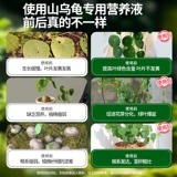 Удобрение для горных черепах, специальное удобрение, питательный раствор, обработка комнатных растений, листья, сухие и гнилые цветы, универсальное удобрение