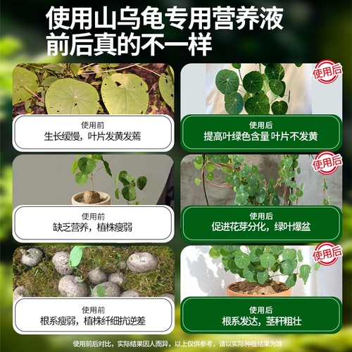 Удобрение для горных черепах, специальное удобрение, питательный раствор, обработка комнатных растений, листья, сухие и гнилые цветы, универсальное удобрение