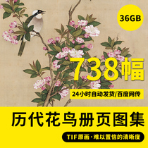 Successive generations of Chinese painting flowers and birds album pages HD electronic pictures Water ink work pen flower and bird painting core combined spray painting material