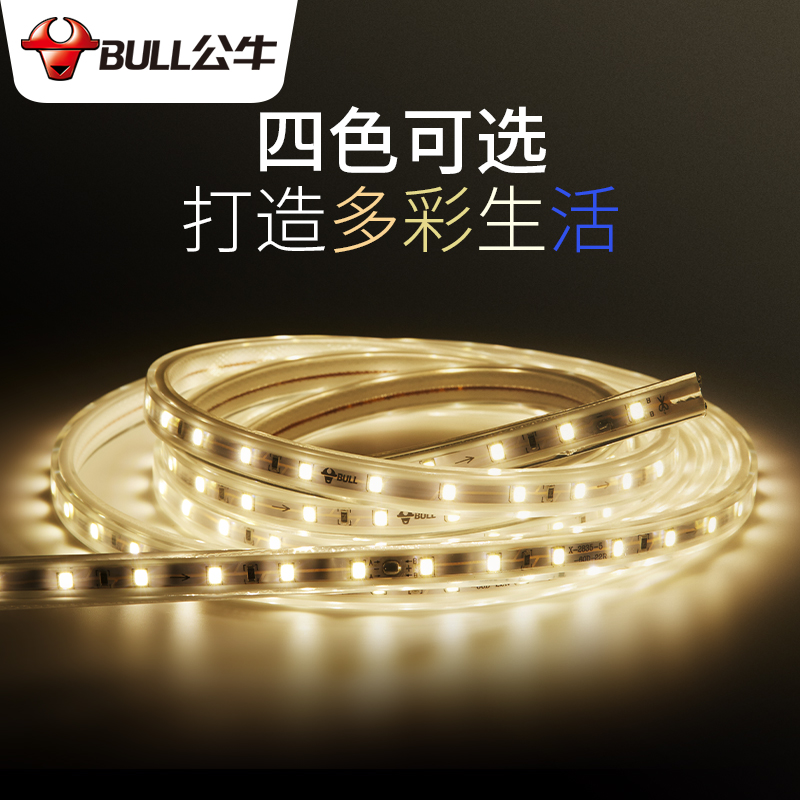 Bull Light With Led Patch 220v Light Strip Plug Living Room Decoration Suspended Ceiling Lighting Color Flexible Double Platoon Strip
