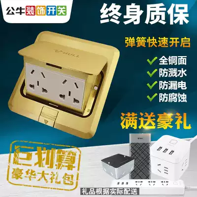 Bull ground socket all copper waterproof non-damping hidden household five-hole socket ground ten-hole ground socket panel