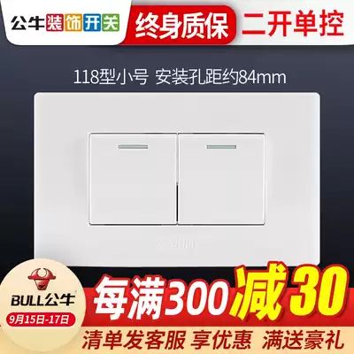 Bull 118 type switch socket two open panel with fluorescent switch 2 position double switch panel two position single control