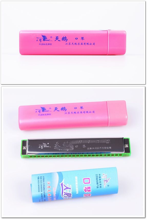 Thiên nga 24 lỗ C giai điệu đơn điệu hòa tấu học sinh mới bắt đầu học sinh trẻ em giới thiệu đàn piano thực hành chơi nhạc cụ - Nhạc cụ phương Tây guitar điện fender
