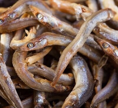 Dalian specie in sea cargo Haiyan fish dried small fish piggy dried 300g grams dried goods small silver fish dried seafood dried seafood