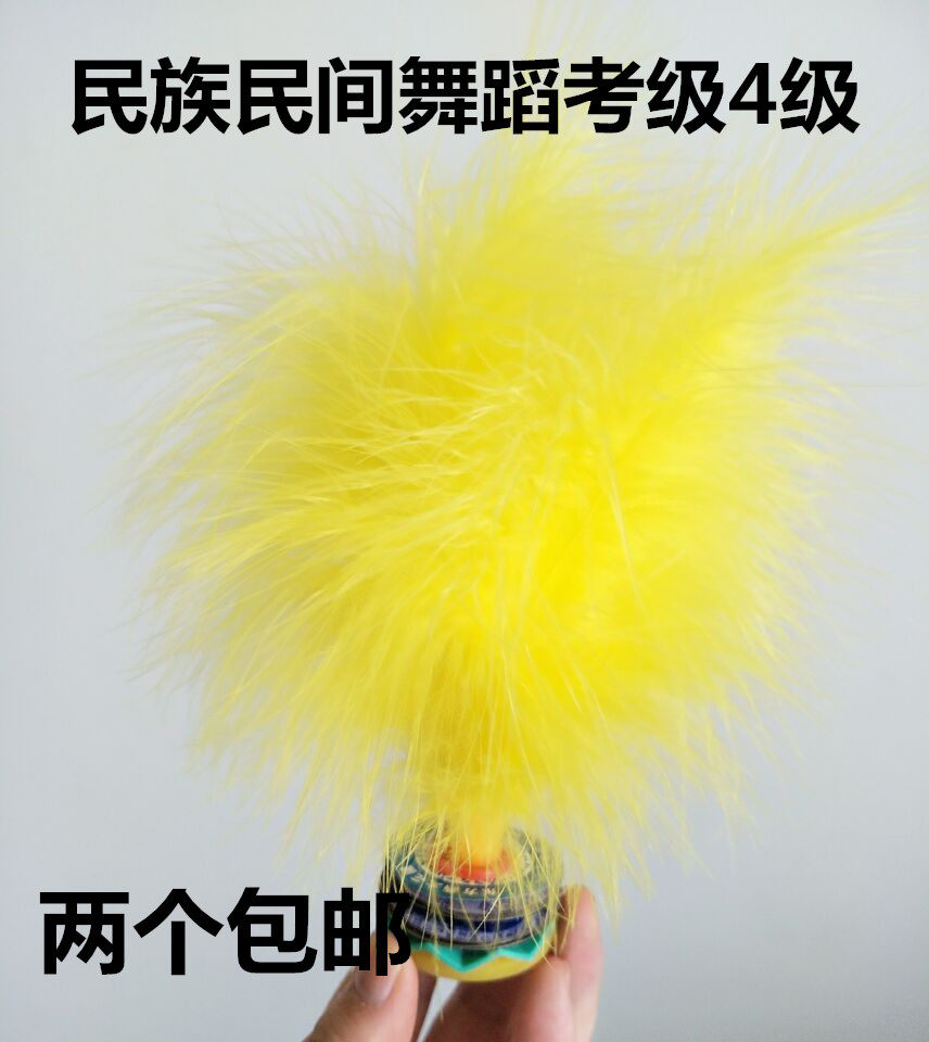Chinese Ethnic and Folk Examination Grade 4 Shuttlecock Children Examination Dance Props