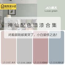 Pop Wall Color Aqueous Silicon Algae Clay Paint Home Indoor Self-Brushed Refurbished Eco-friendly Substitute Paint Emulsion Varnish