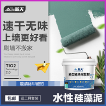 Blue Sky Water-based Silicon Algae Clay Wall Paint Home Indoor Self-Brushed Paint Substitute Milkgel Paint Renovated Environmentally Friendly Color