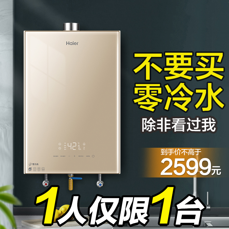 Haier Zero Cold Water Gas Water Heater Household Natural Gas Strong Exhaust Type 16 Liters Bring Back Water Official Flagship Store WN5S