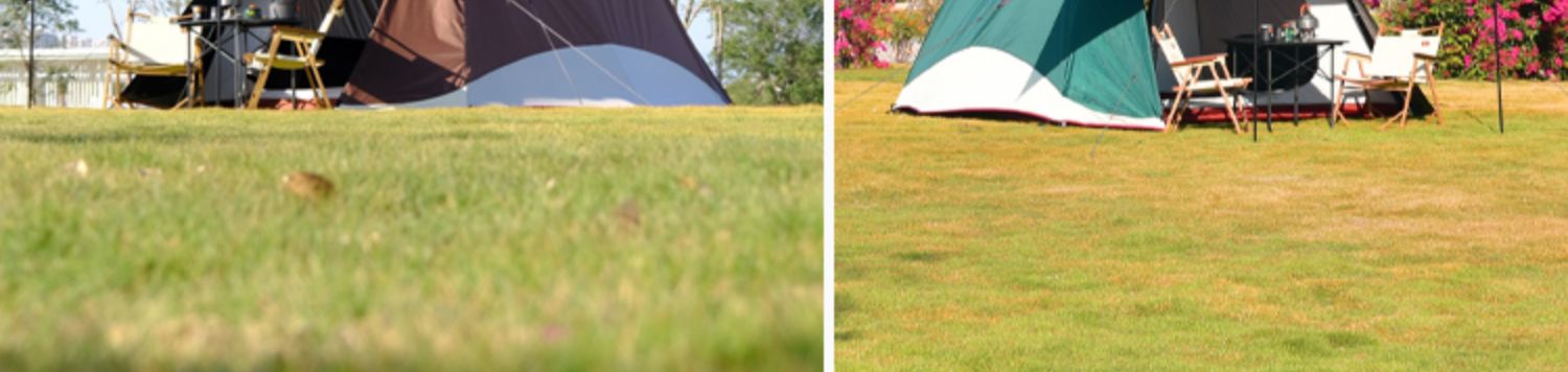 Tent Outdoor 3-4 People Automatic Black Glue Family Thickened Sunshade Camping Rainproof Outdoor Exquisite Camping Equipment