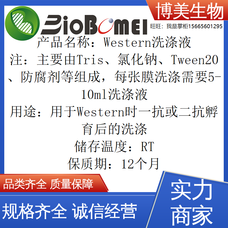 Western洗涤液一抗二抗孵育后的洗涤生物科研实验试剂 开电子发票