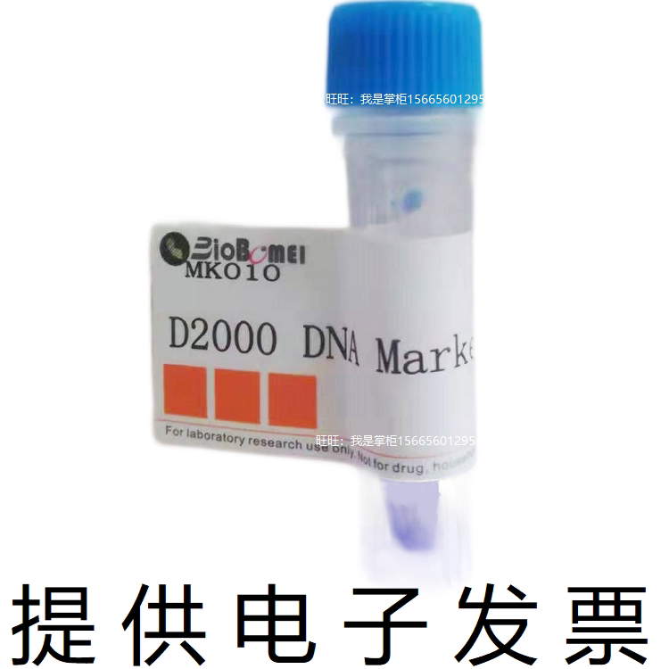 博美生物D2000 DNA Ladder电泳实验核酸marker100-2000bp电子发票